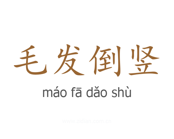 毛发倒竖