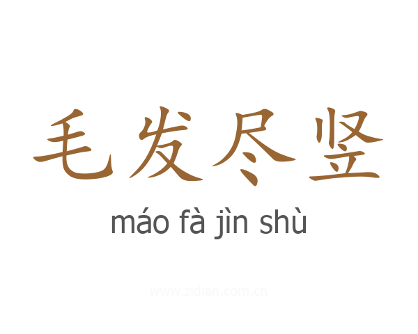 毛发尽竖