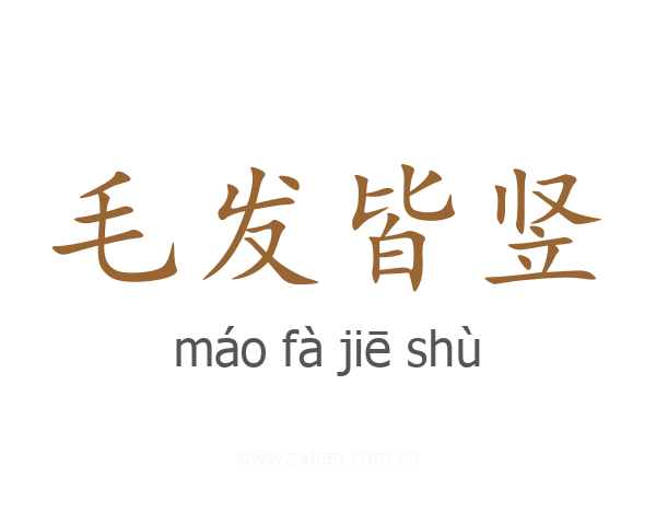 毛发皆竖