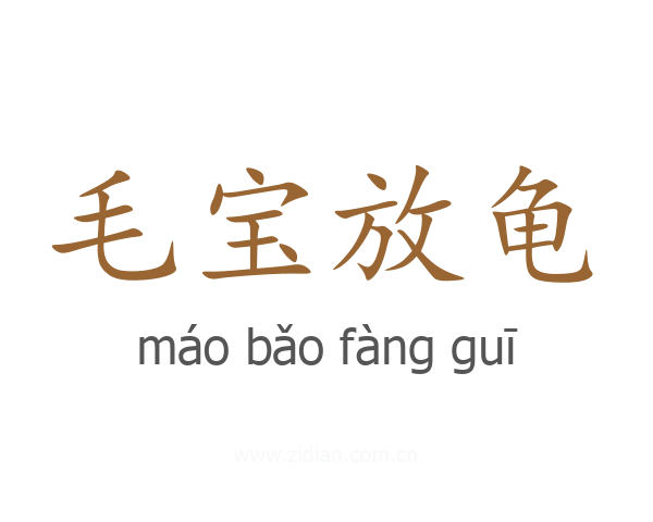 毛宝放龟