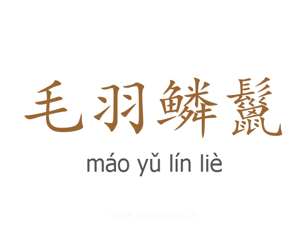 毛羽鳞鬣