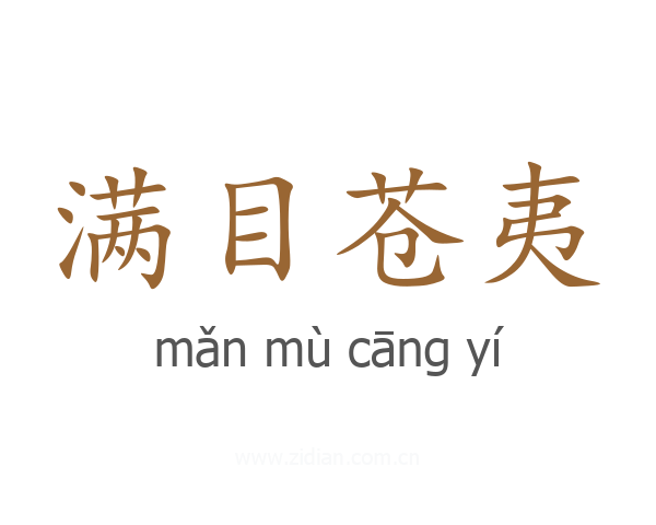 满目苍夷