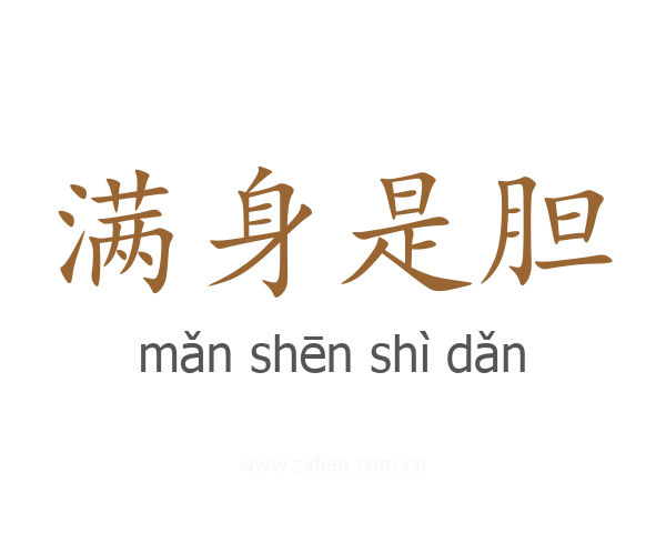 满身是胆