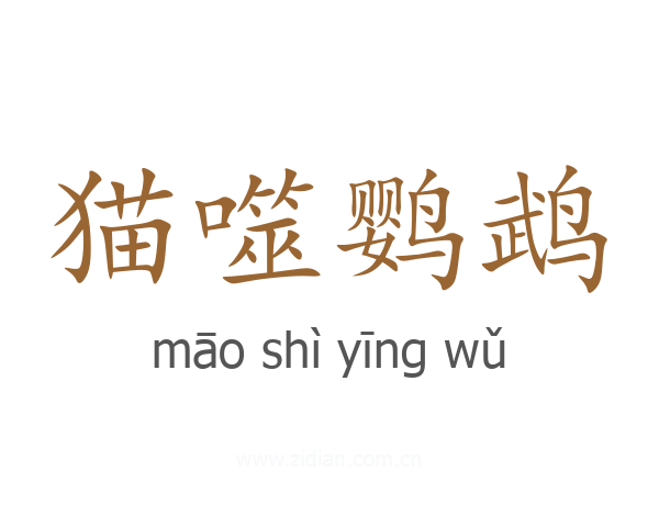 猫噬鹦鹉