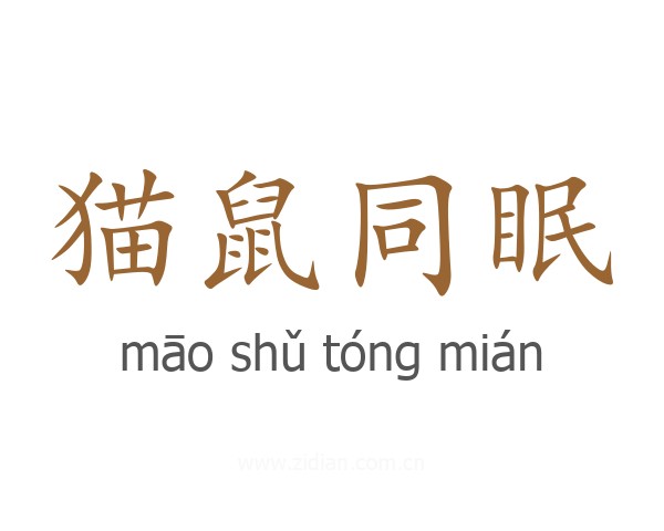 猫鼠同眠