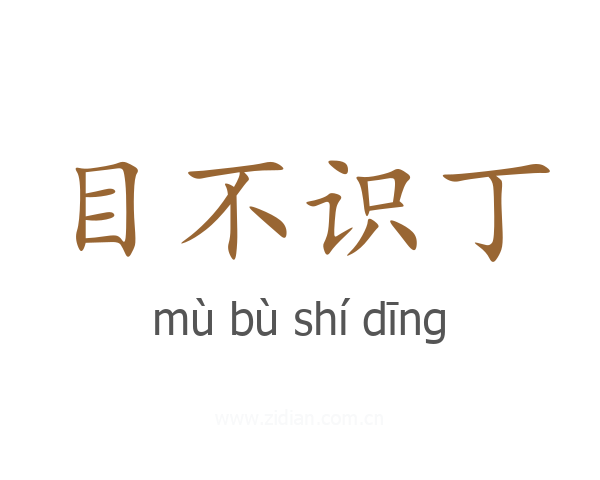 目不识丁