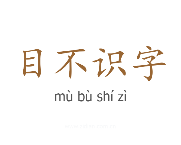 目不识字
