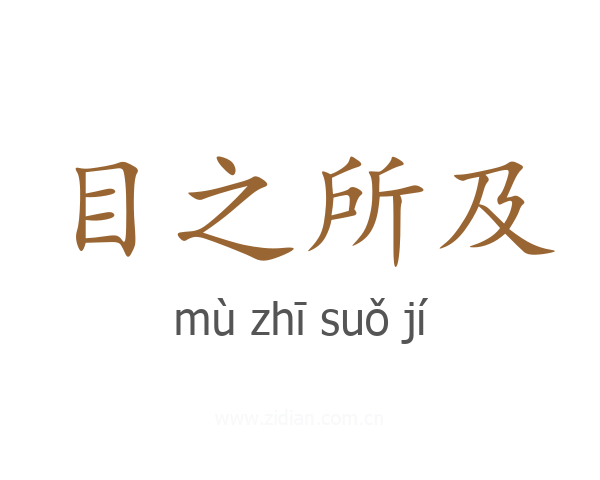 目之所及