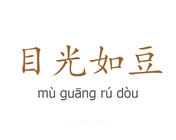 目光如豆