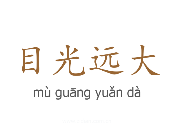 目光远大