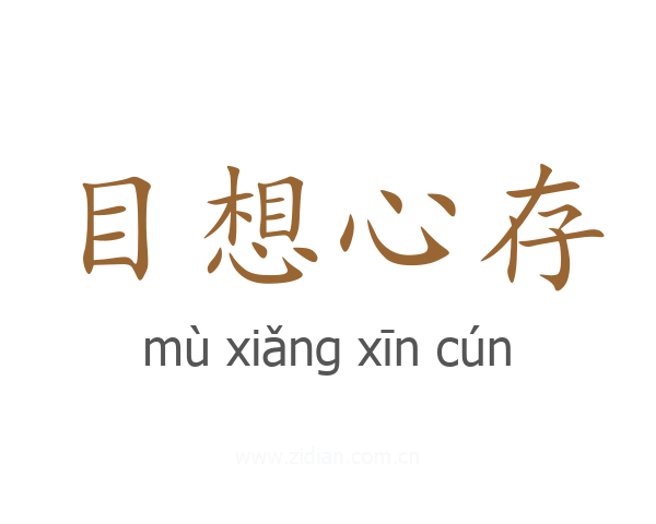目想心存