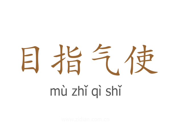目指气使