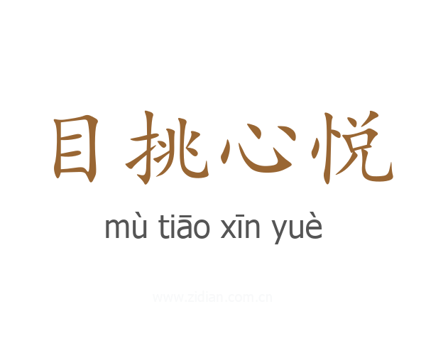 目挑心悦