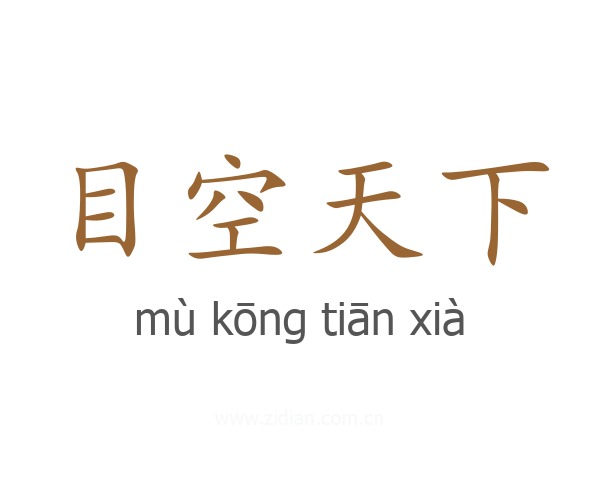 目空天下
