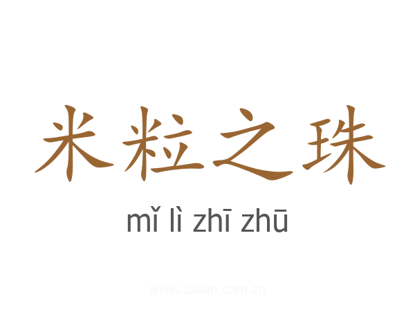 米粒之珠