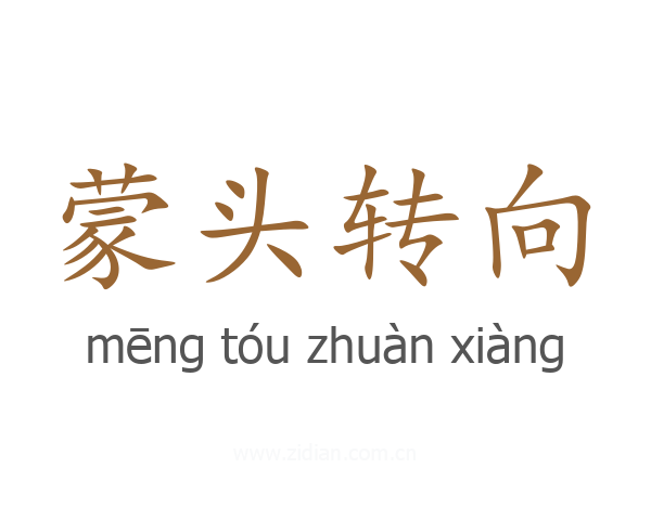 蒙头转向