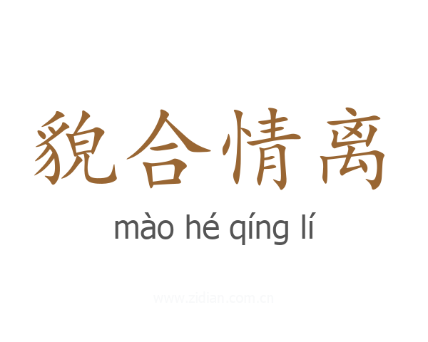 貌合情离