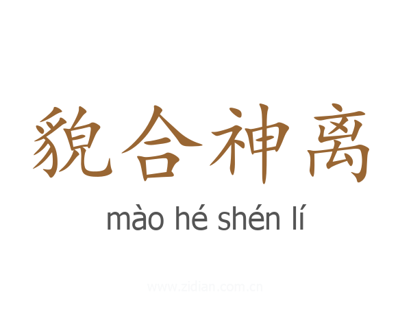 貌合神离