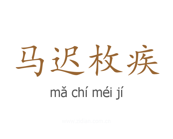 马迟枚疾