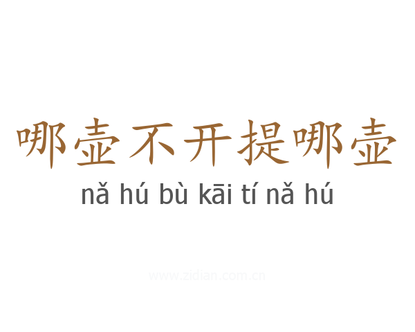 哪壶不开提哪壶