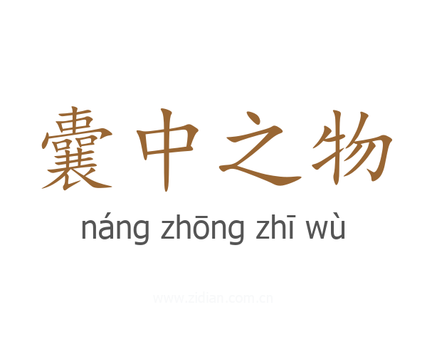 囊中之物