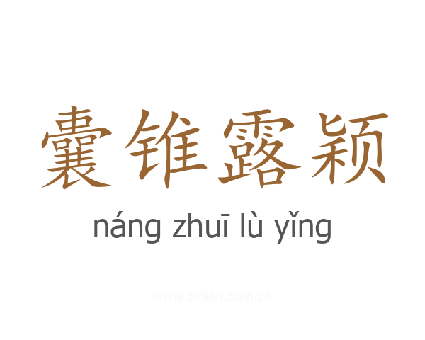 囊锥露颖