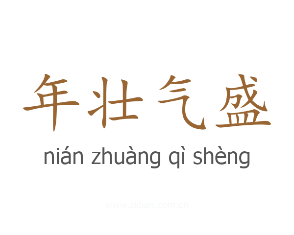 年壮气盛