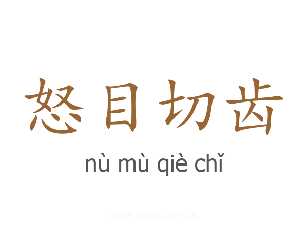 怒目切齿