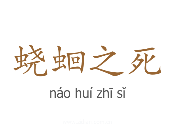 蛲蛔之死