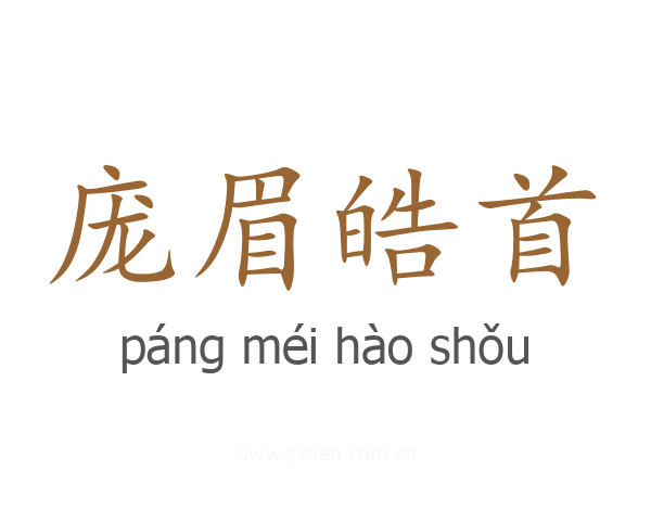 庞眉皓首