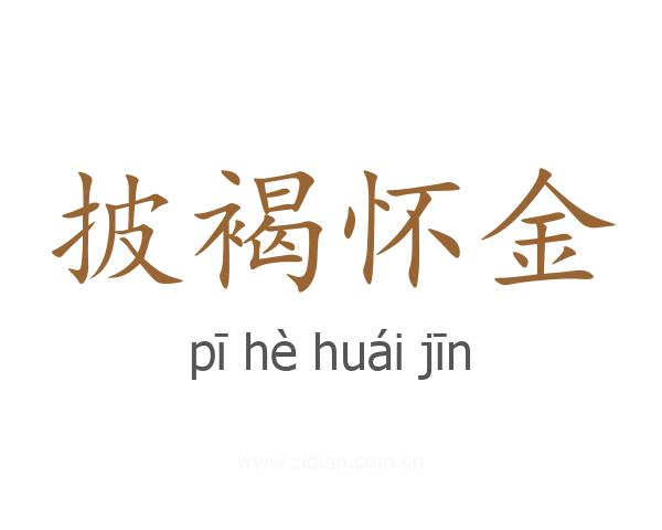披褐怀金