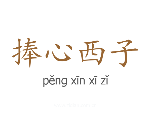 捧心西子