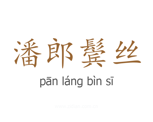 潘郎鬓丝