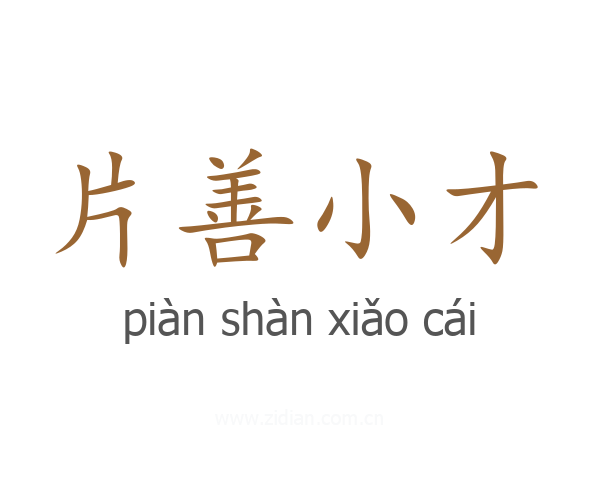片善小才