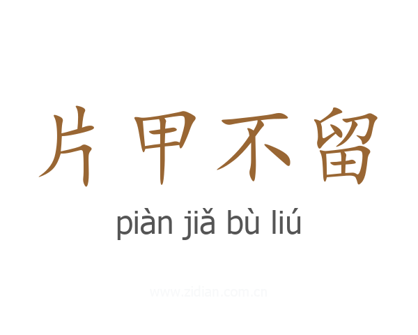 片甲不留