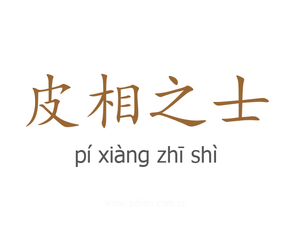 皮相之士