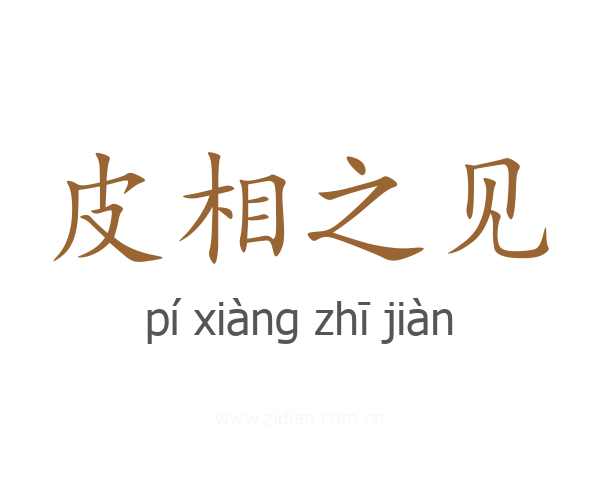 皮相之见