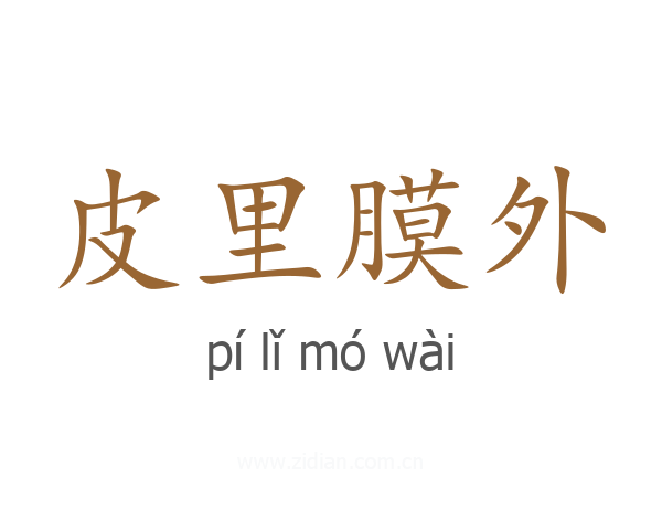 皮里膜外