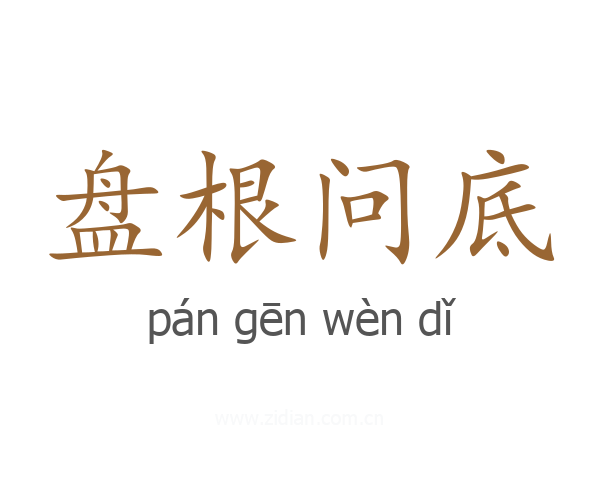 盘根问底