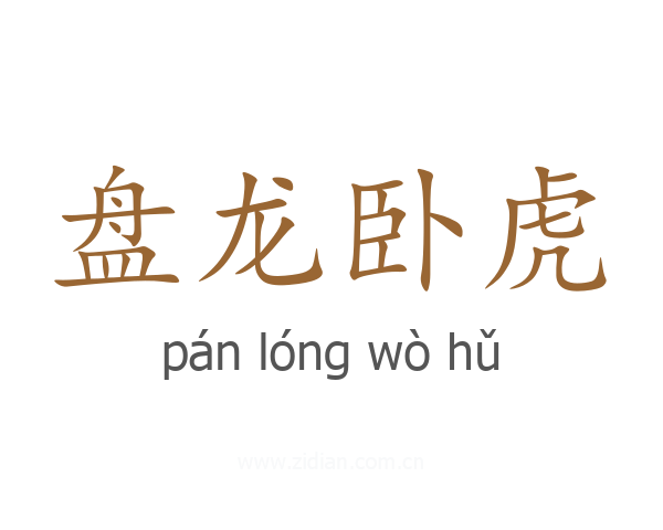 盘龙卧虎