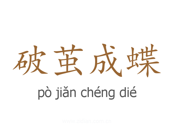 破茧成蝶