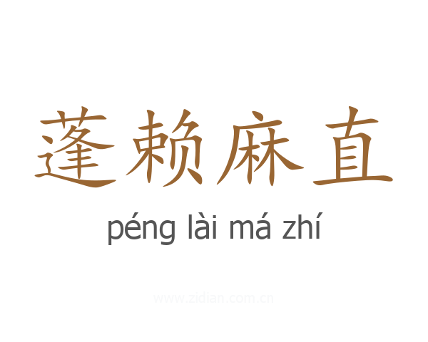 蓬赖麻直