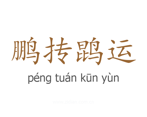 鹏抟鹍运