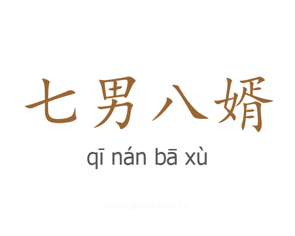 七男八婿