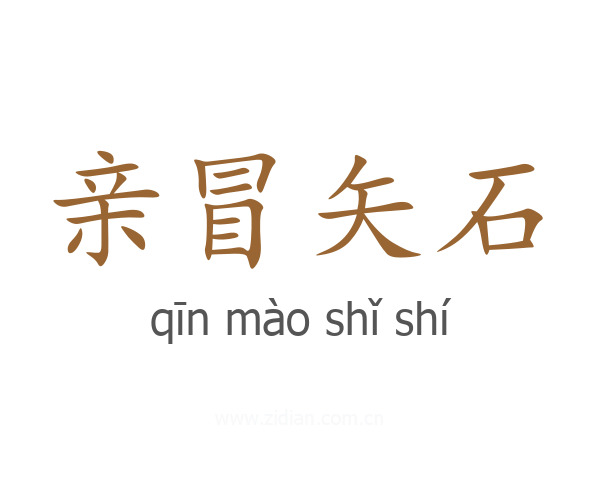 亲冒矢石