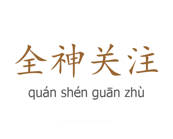 全神关注