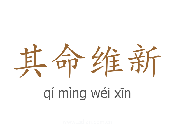 其命维新