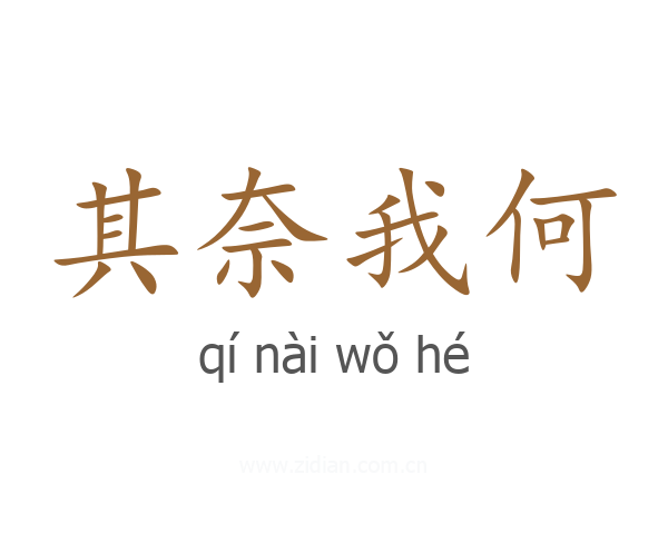其奈我何