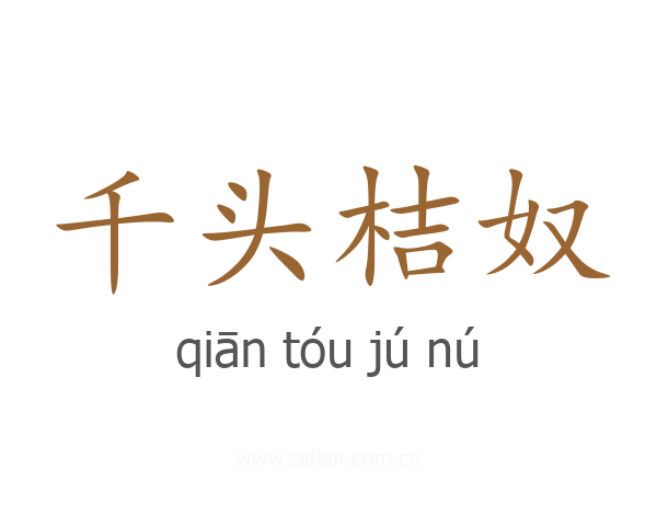 千头桔奴