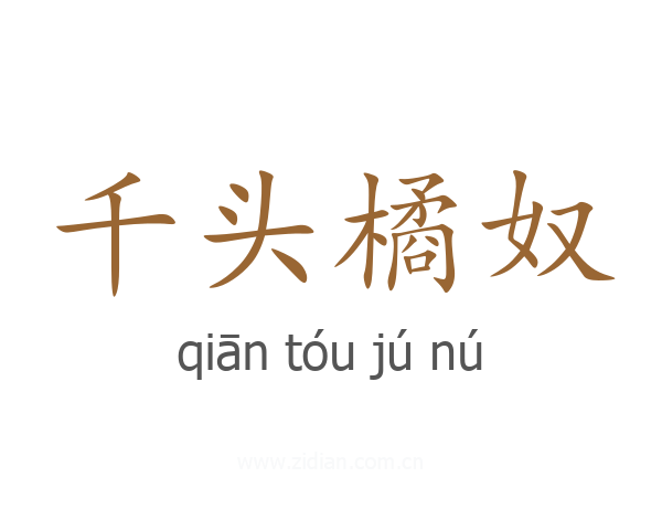 千头橘奴